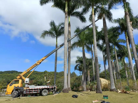 平凉吊装与货运服务 专业力量，高效运输